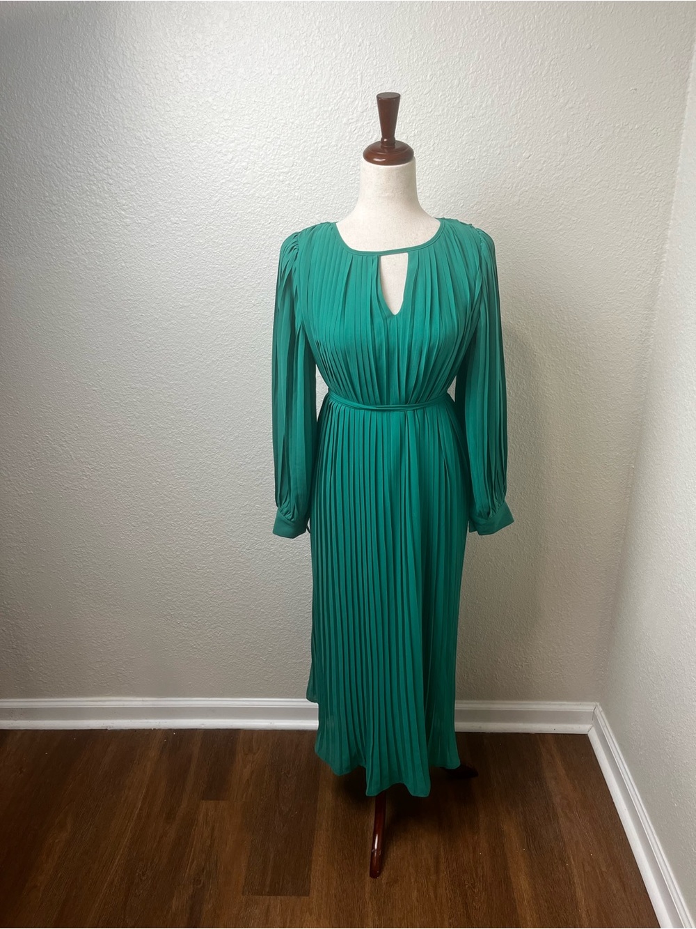 Ellison Green Pleated Maxi Dress Size Small - Picture 2 of 9